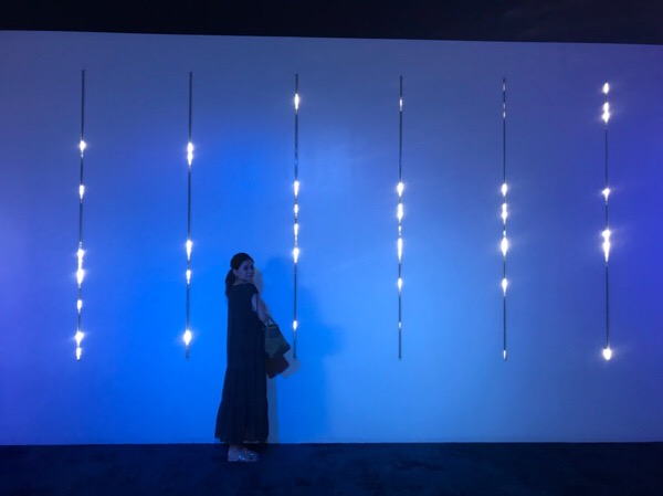 生きているミュージアム にふれる