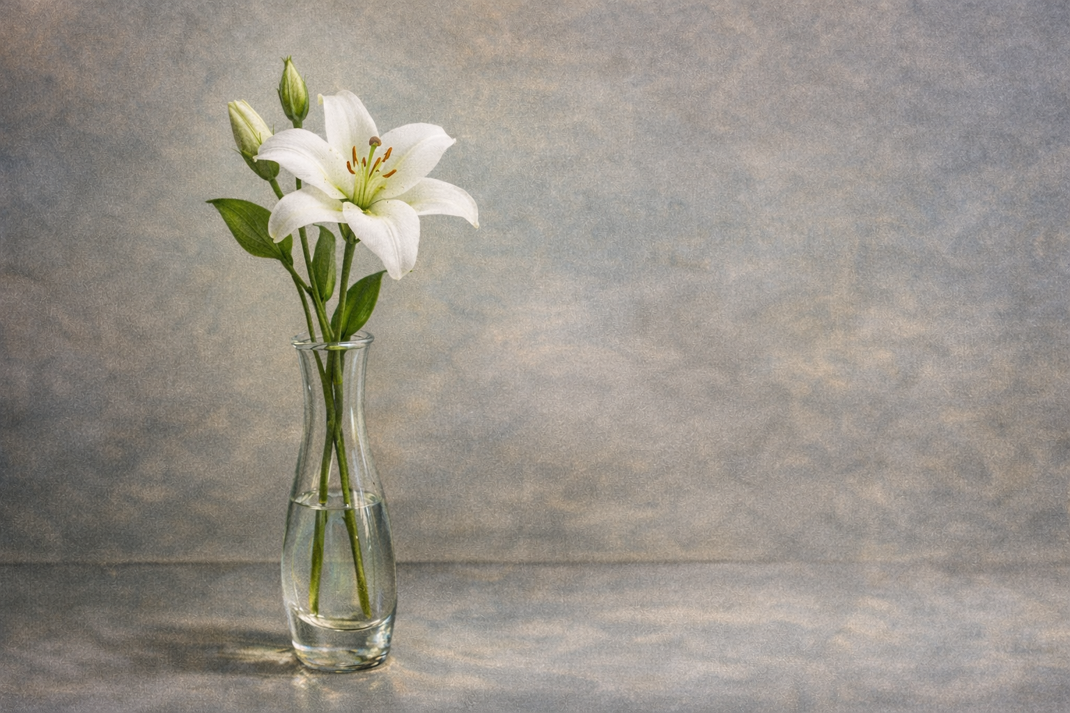 美容室選びで失敗したくない人が最初に見るべきポイント3つ